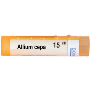 Allium cepa 15 ch