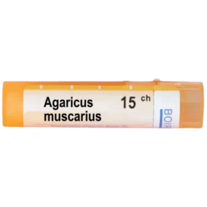 Agaricus muscarius 15 ch