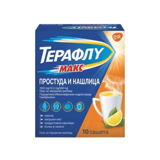 Терафлу Макс Простуда и кашлица сашета х10 Годен до: 31.3.2026 г.